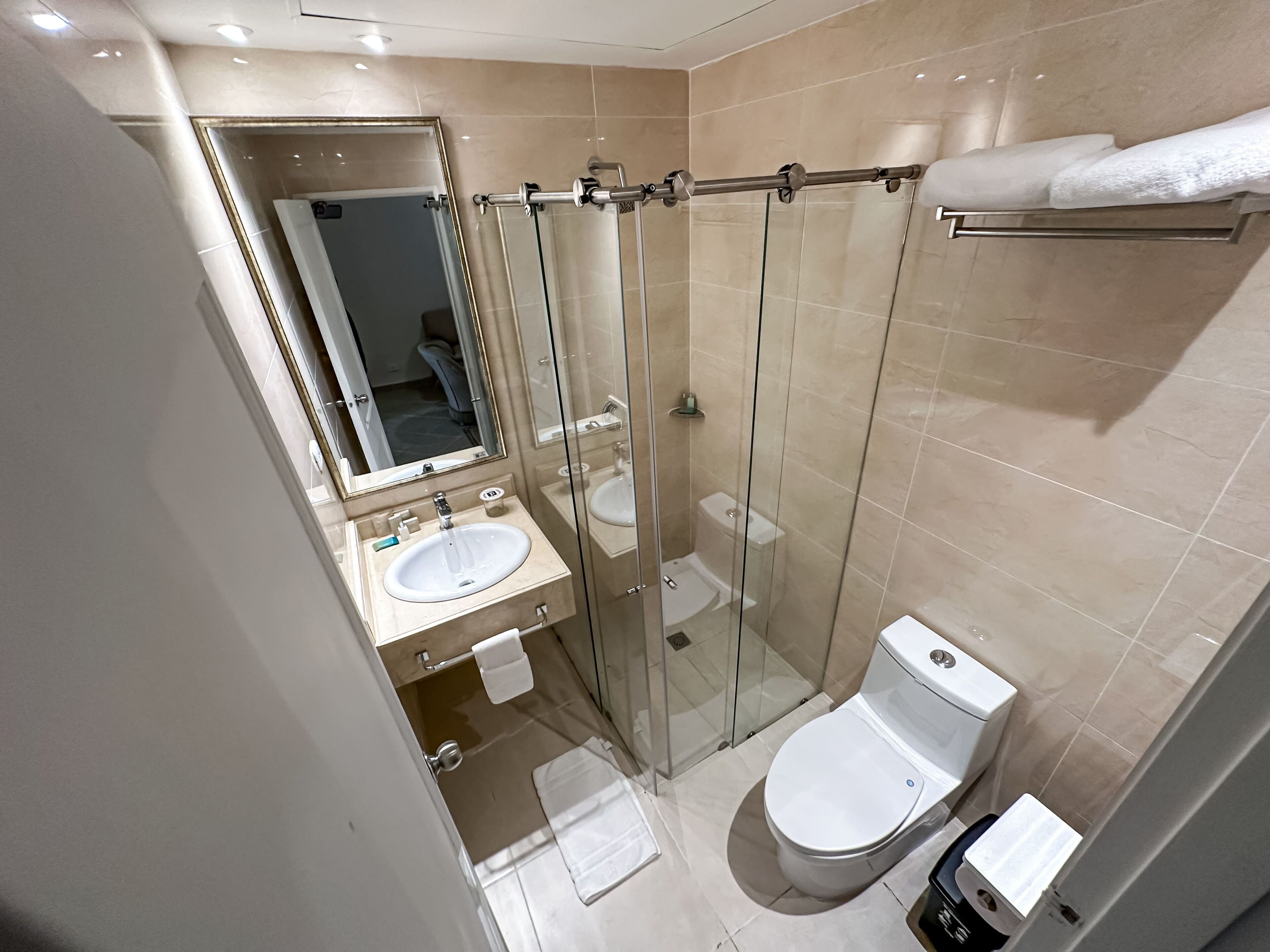 A modern bathroom with a glass-enclosed shower, a sink, a toilet, and a mirror.