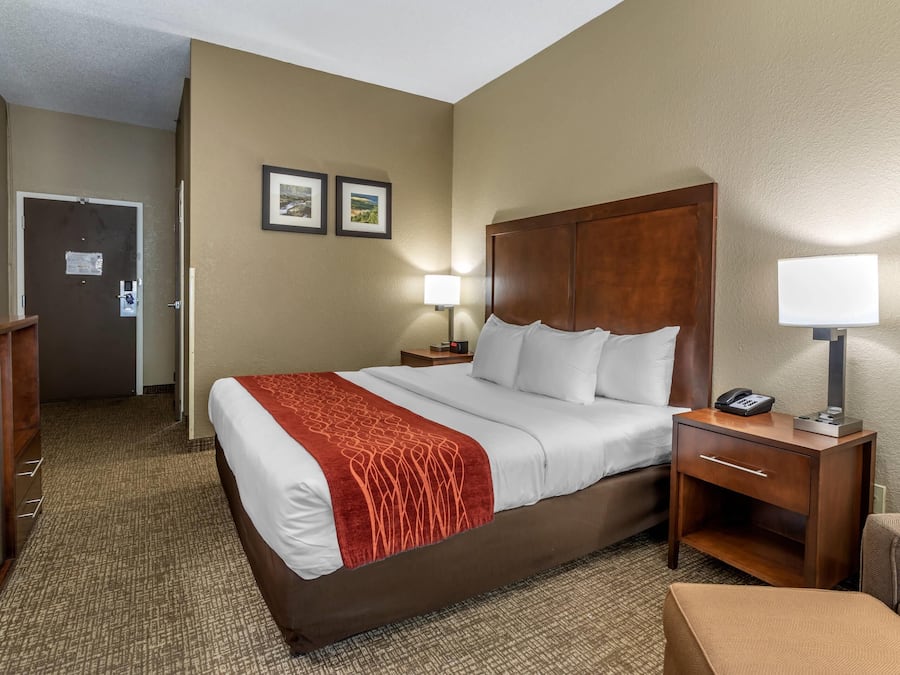 Room, 1 King Bed, Accessible, Non Smoking | In-room safe, iron/ironing board, free WiFi, bed sheets