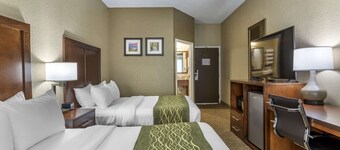 Comfort Inn South Kingsport