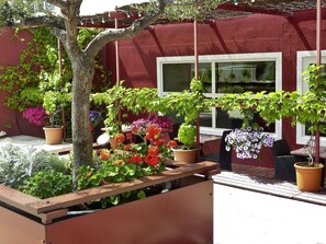 Serves breakfast, lunch and dinner