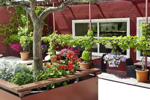 Serveert ontbijt, lunch en diner