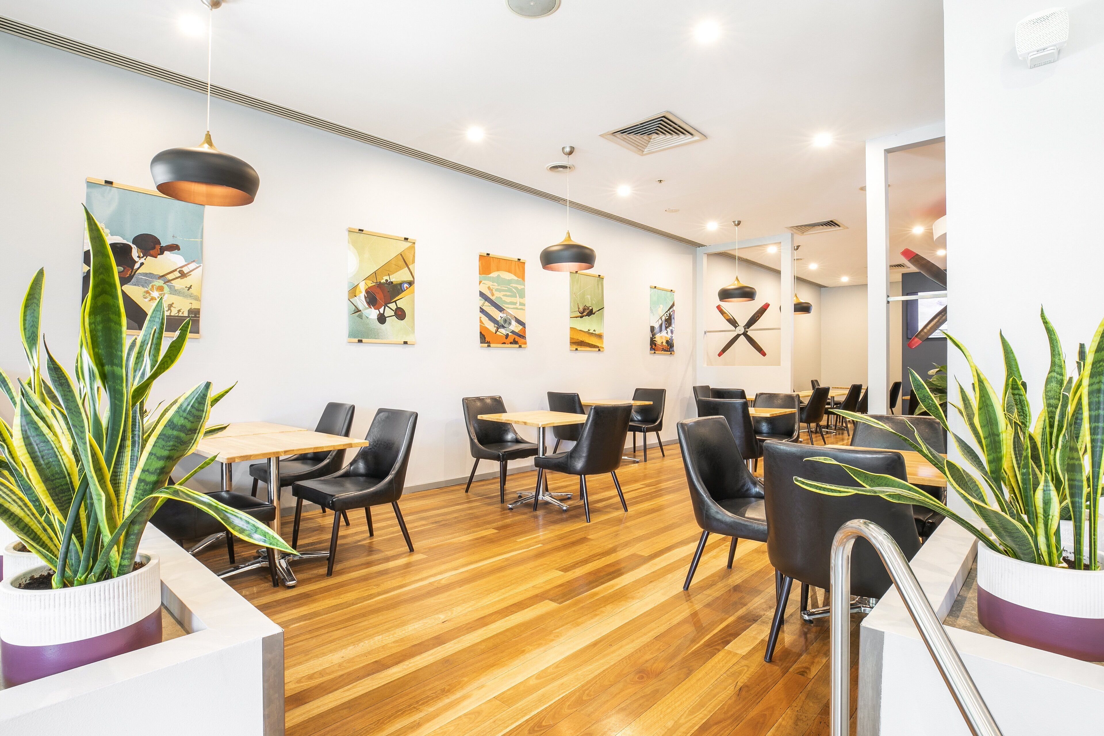 Un interior moderno con suelo de madera, sillas de cuero negro y plantas en macetas.