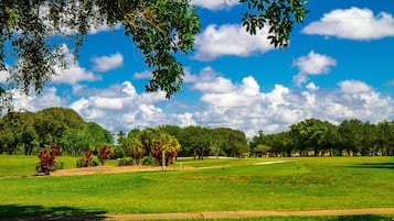 Golfkenttä, jonka yllä on kirkas taivas, ja jossa on rehevää, vihreää ruohoa sekä taustalla puita.
