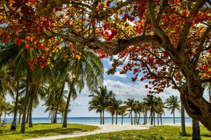 Una playa con palmeras y cielo despejado.