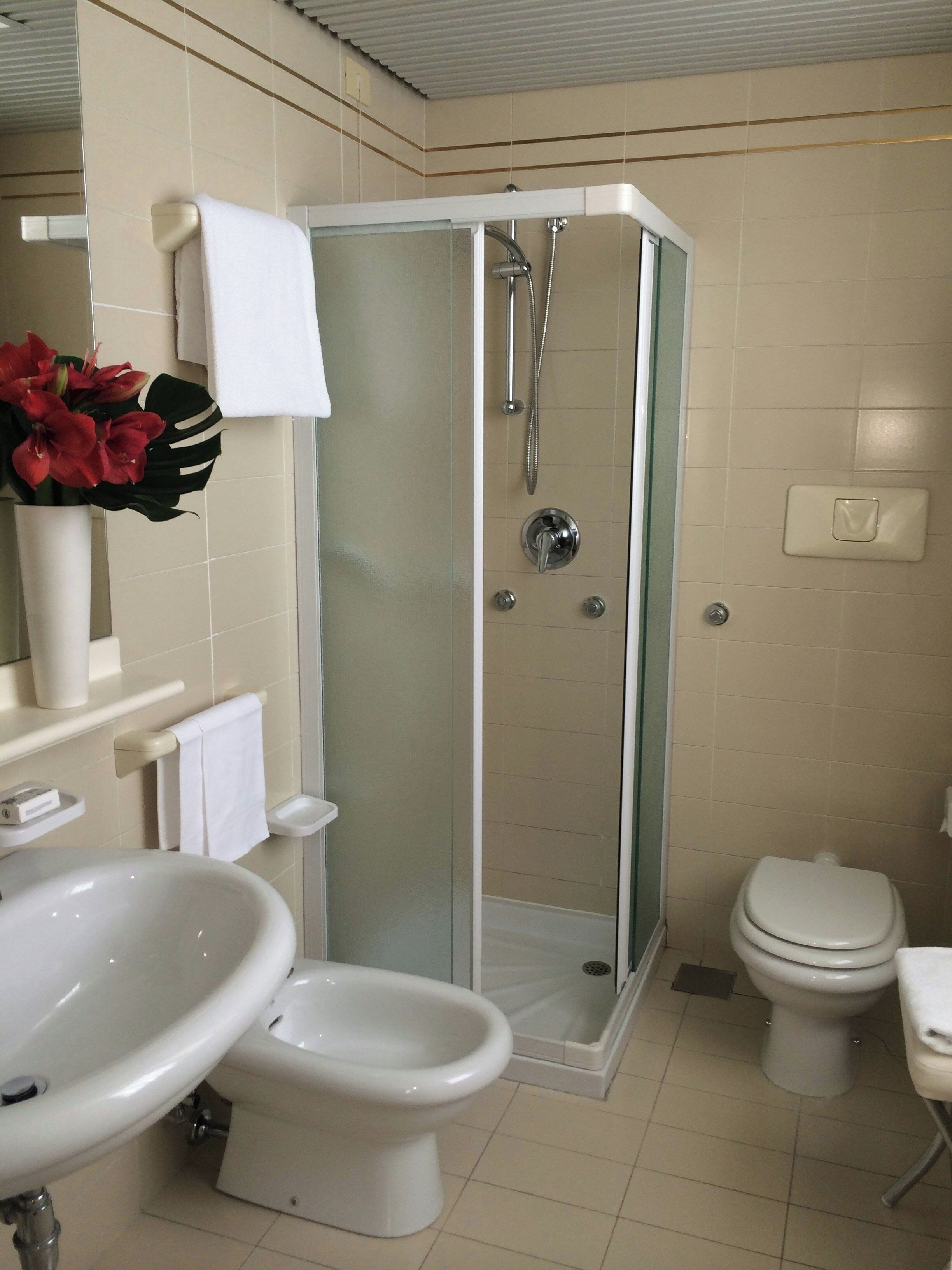 shower, hair dryer, bidet, towels