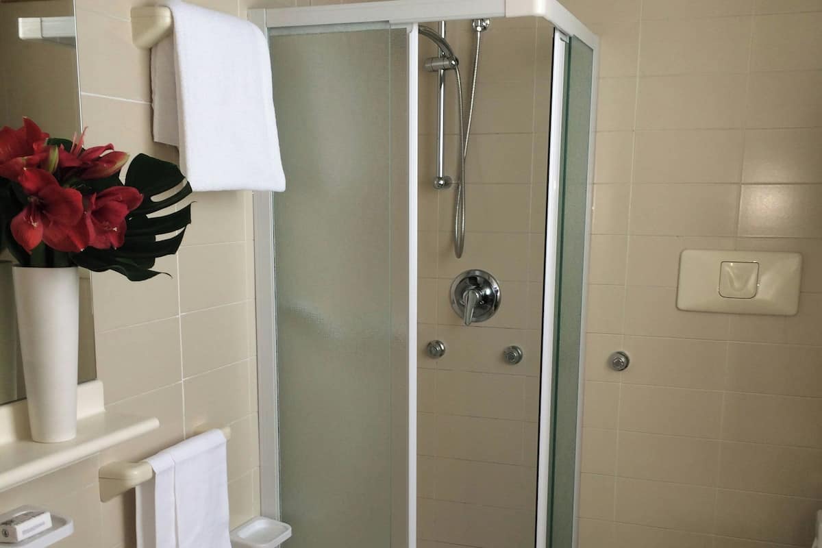 shower, hair dryer, bidet, towels