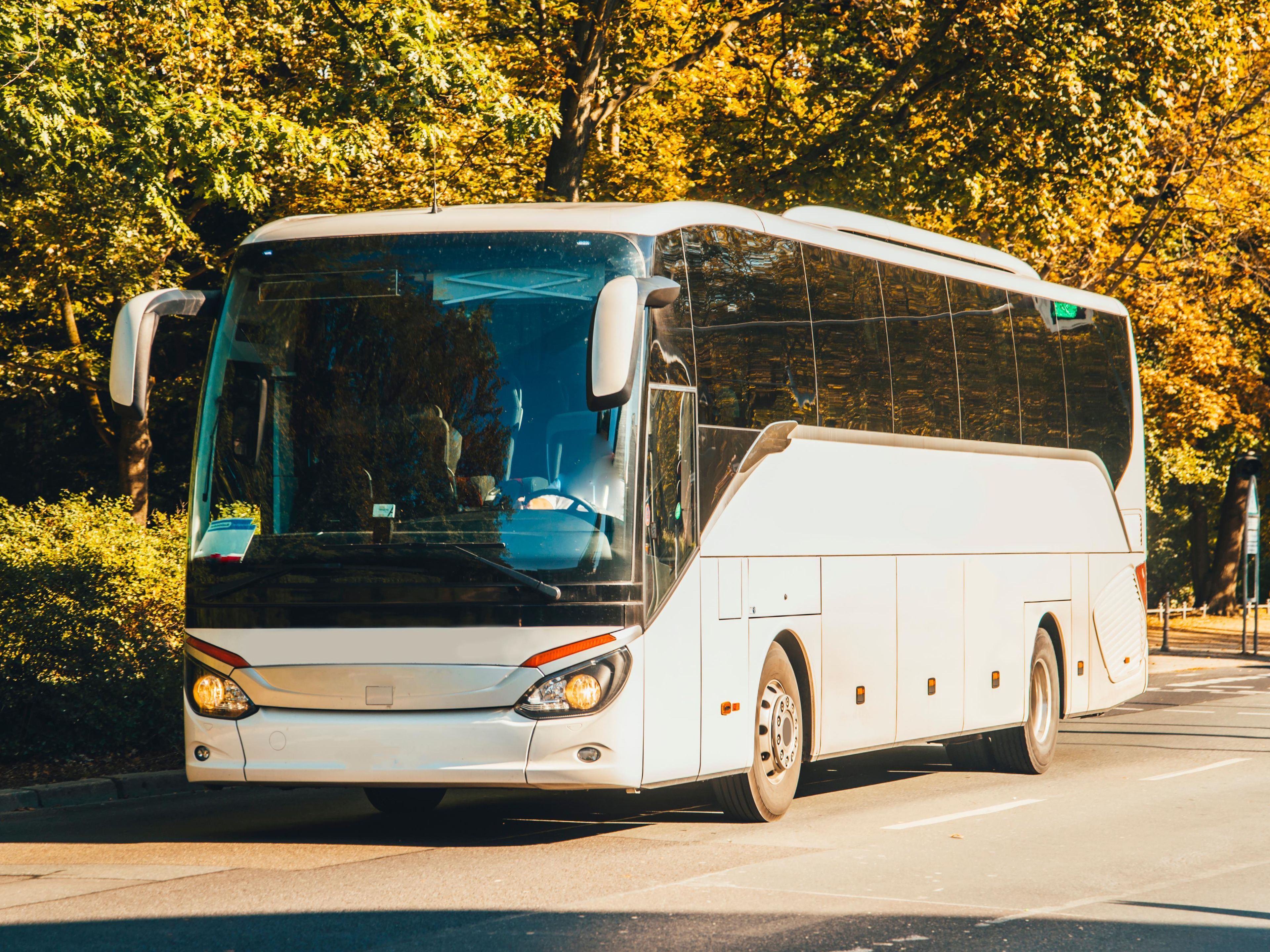 A white bus with a large windshield and side mirrors, parked on a road with trees in the background.