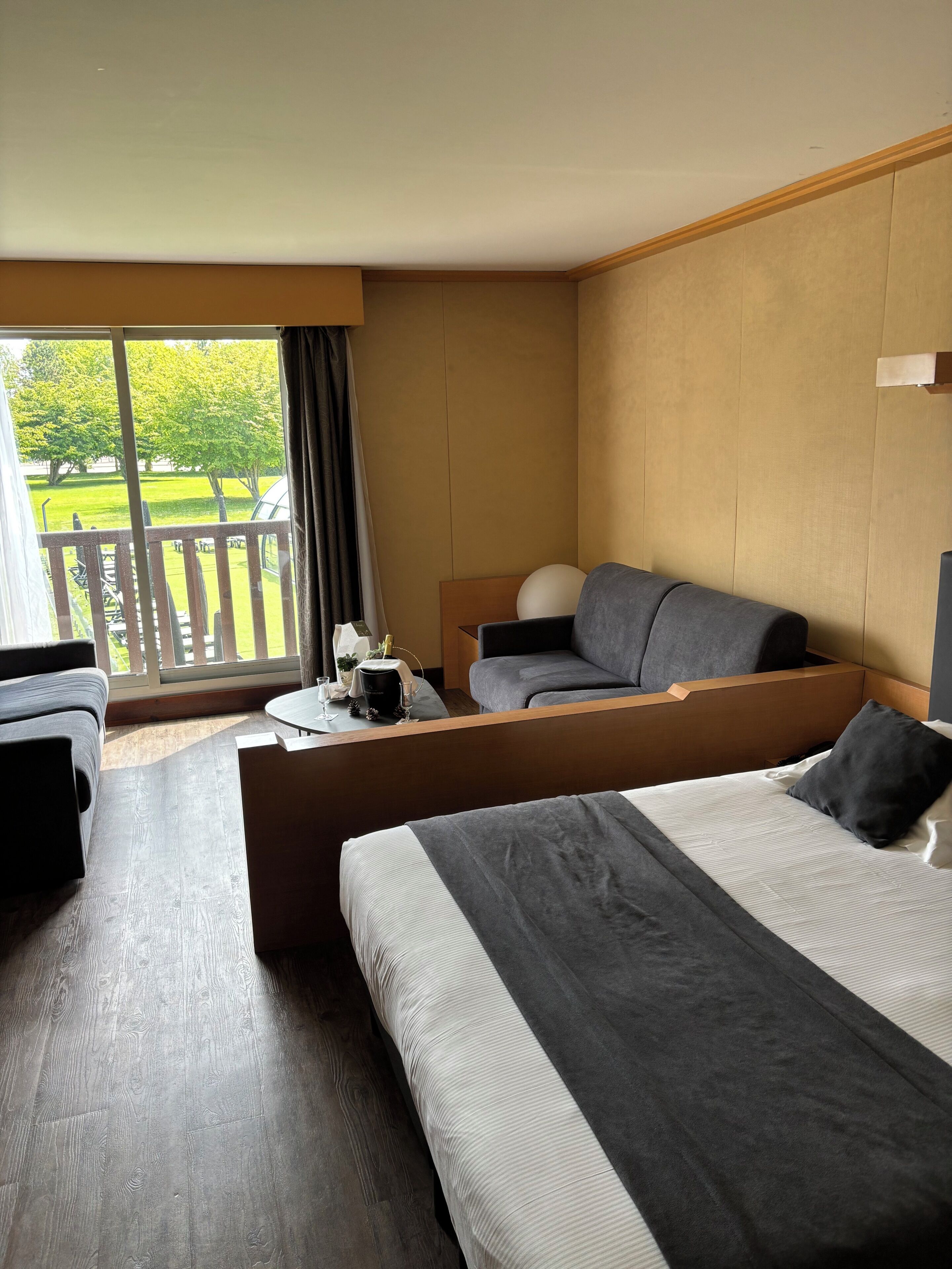 A hotel room with a bed, a sofa, a small table with a lamp, and a view of a garden.