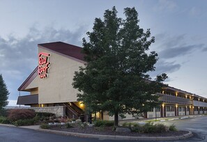 A Red Roof Inn with a large tree in front, a parking lot, and a clear sky. - Red Roof Inn Lansing West - MSU (Lansing)