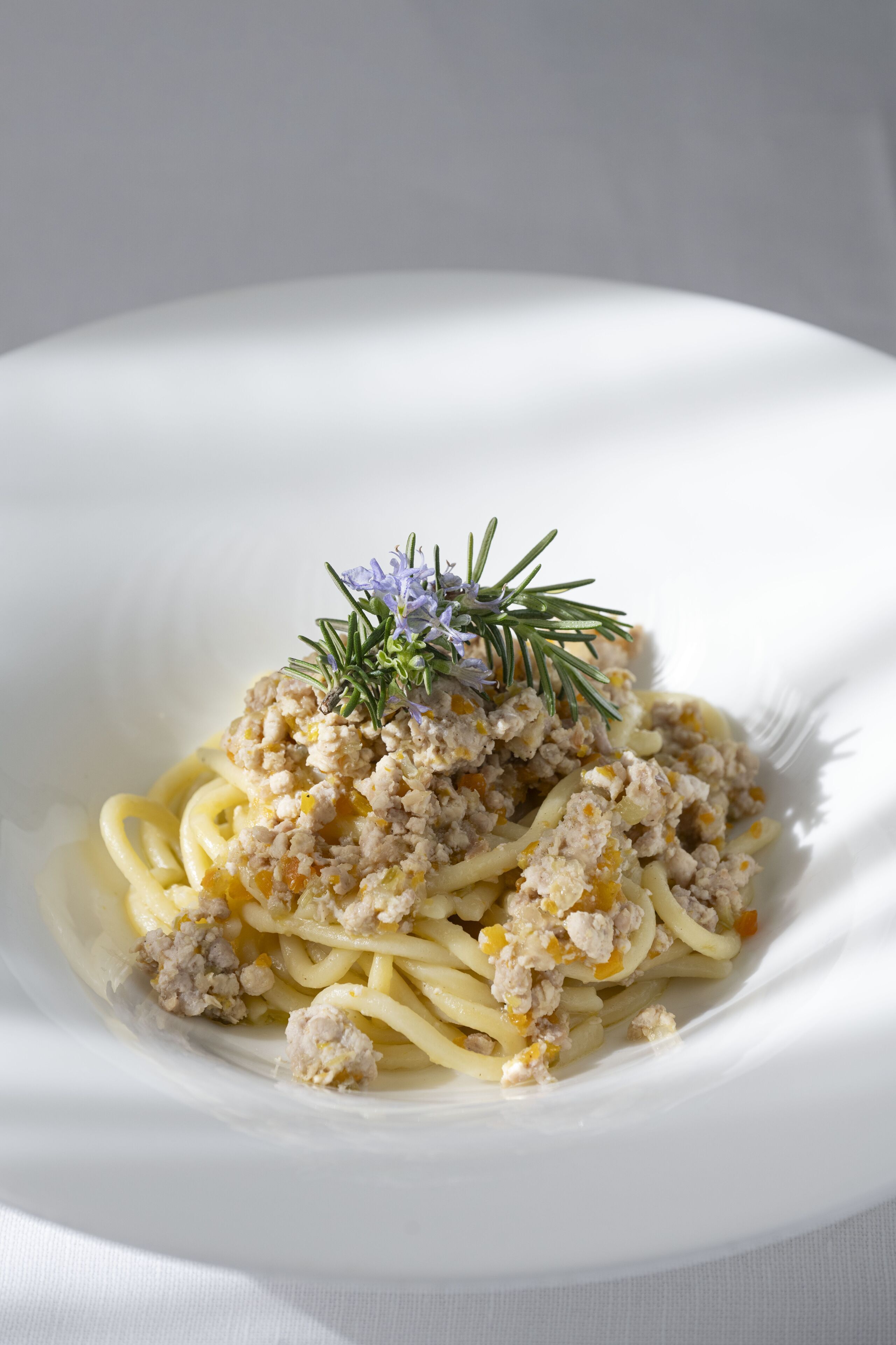A white plate with pasta, meat, and a sprig of rosemary.