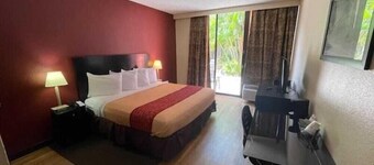 Red Roof Inn St Petersburg - Clearwater/Airport