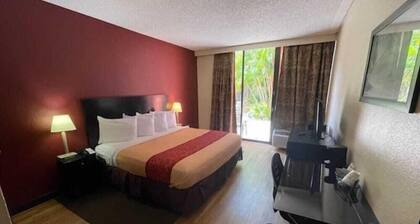 Red Roof Inn St Petersburg - Clearwater/Airport