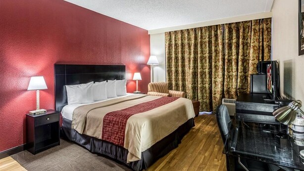 Room - Red Roof Inn St Petersburg - Clearwater/Airport (Clearwater)