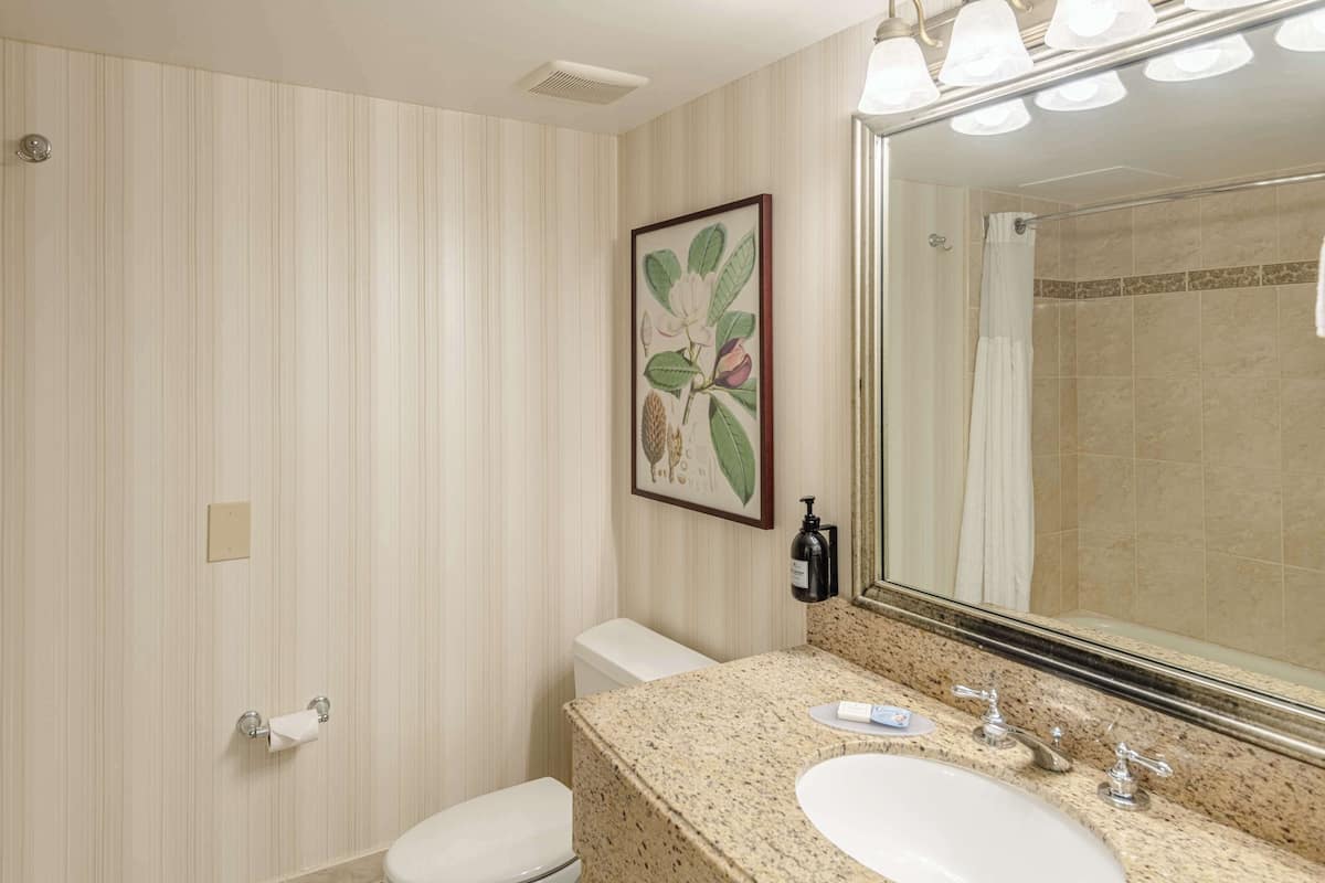 Studio, 1 King Bed | Egyptian cotton sheets, premium bedding, down comforters, pillowtop beds