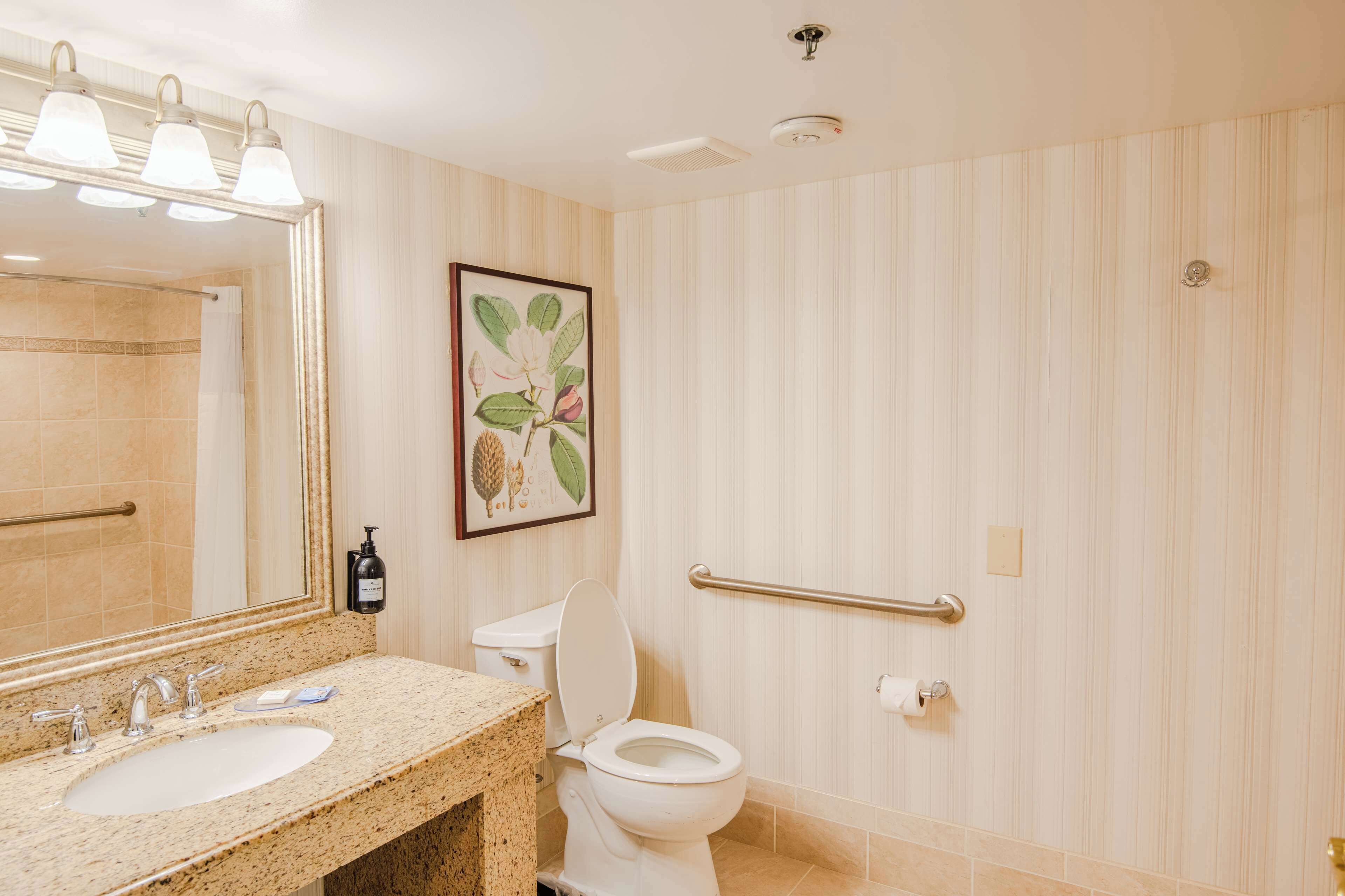 A bathroom with a sink, toilet, and handrail.