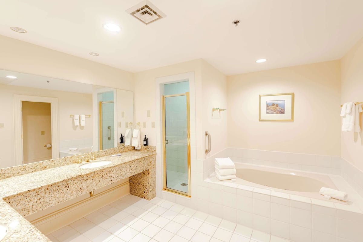A modern bathroom with a large mirror, granite countertop, white tiles, a walk-in shower, and a large bathtub.