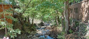 Old Creek Lodge