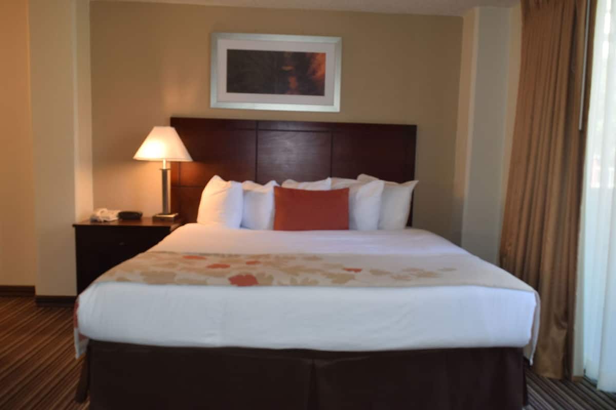 A hotel room with a bed, a nightstand with a lamp, a framed picture on the wall, and a window with curtains.