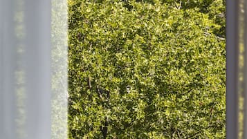 วิวจากห้องพัก