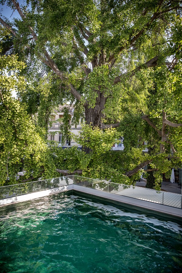 Indoor pool, seasonal outdoor pool, pool umbrellas, pool loungers - Maison Albar Hotels L'Imperator (Nîmes)