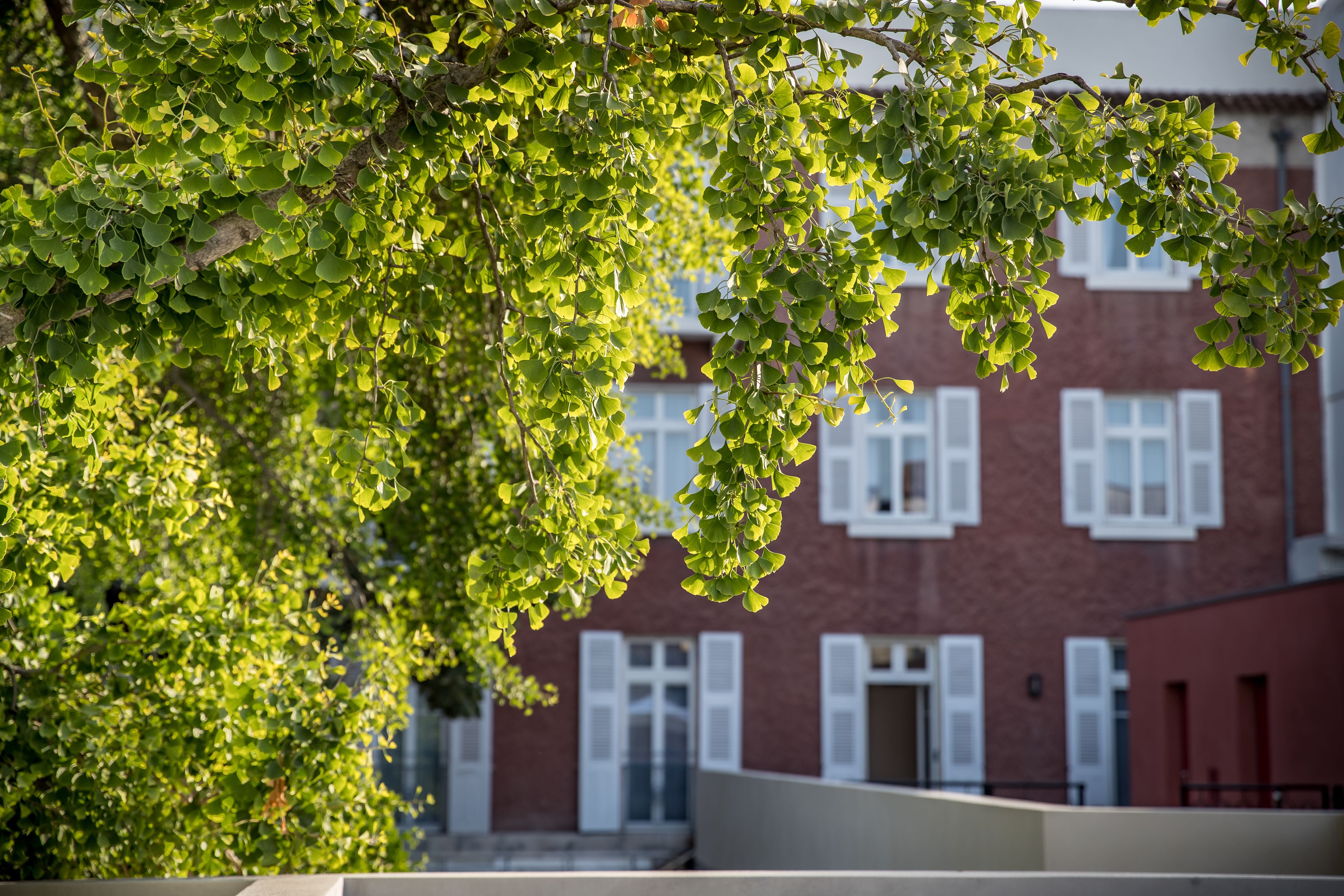 Foto - Maison Albar Hotels L’Imperator