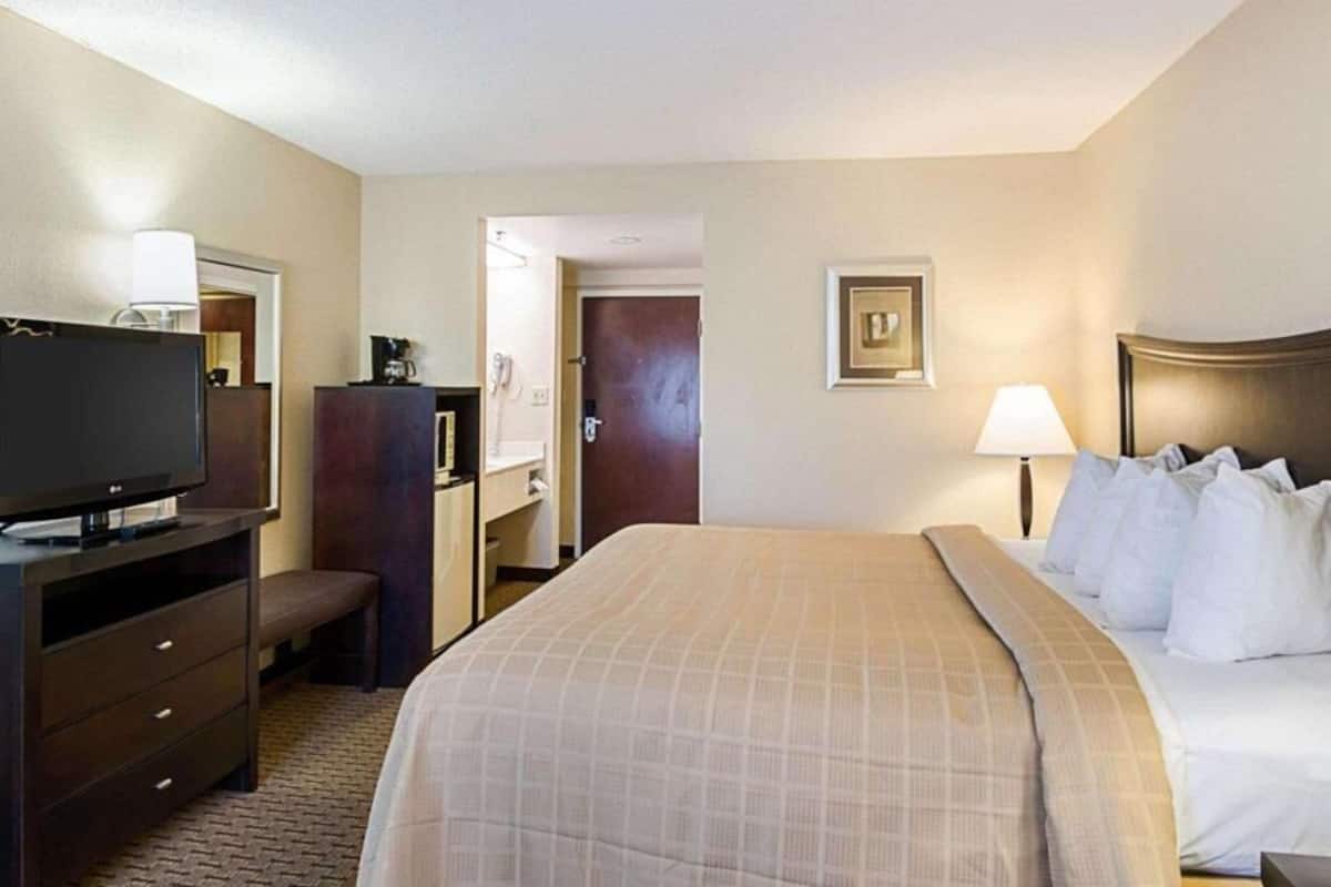 Soundproofing, iron/ironing board, free cots/infant beds, free WiFi