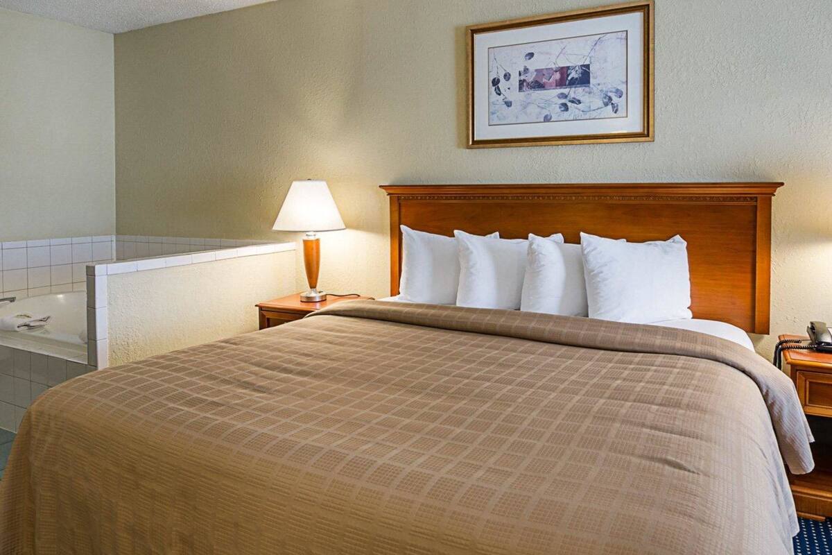 A hotel room with a large bed, a wooden headboard, a bedside table with a lamp, and a framed picture on the wall.