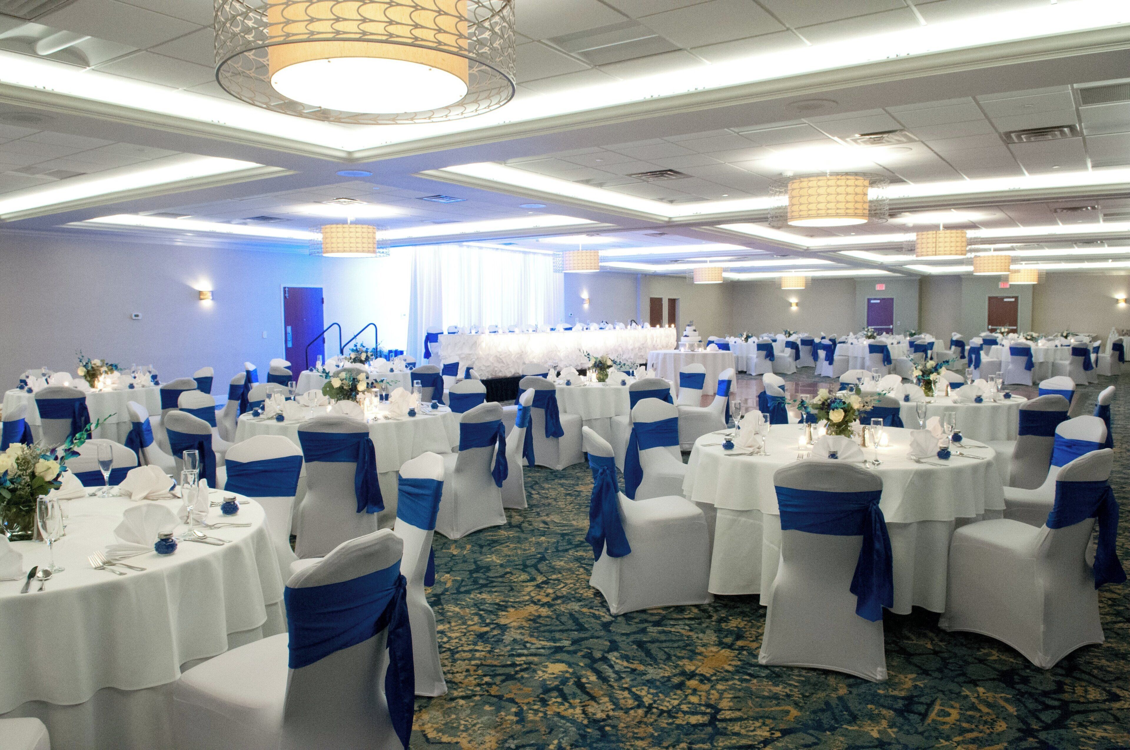 A banquet hall with round tables, chairs with blue sashes, and a carpeted floor.