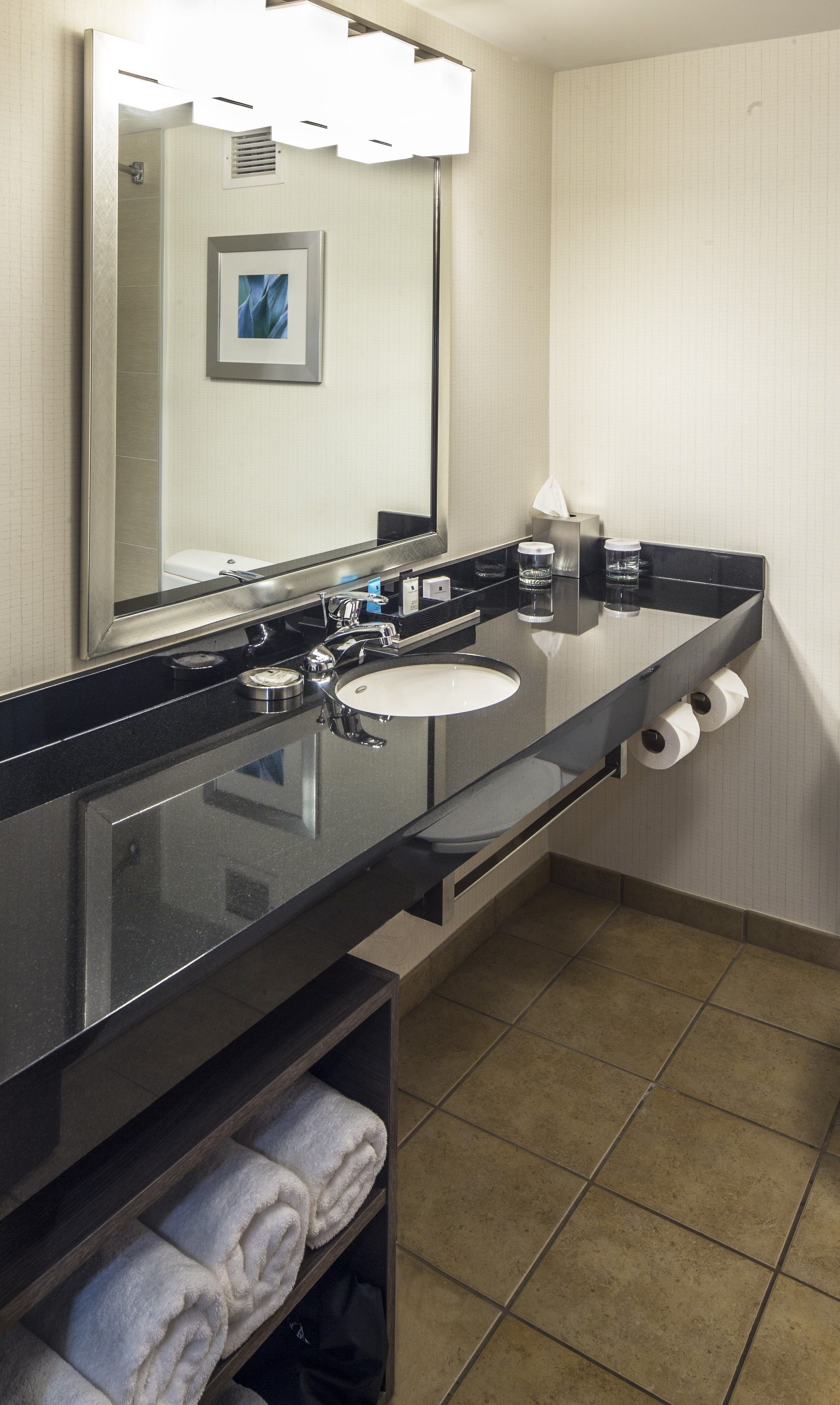 combined shower/bathtub, free toiletries, hair dryer, towels