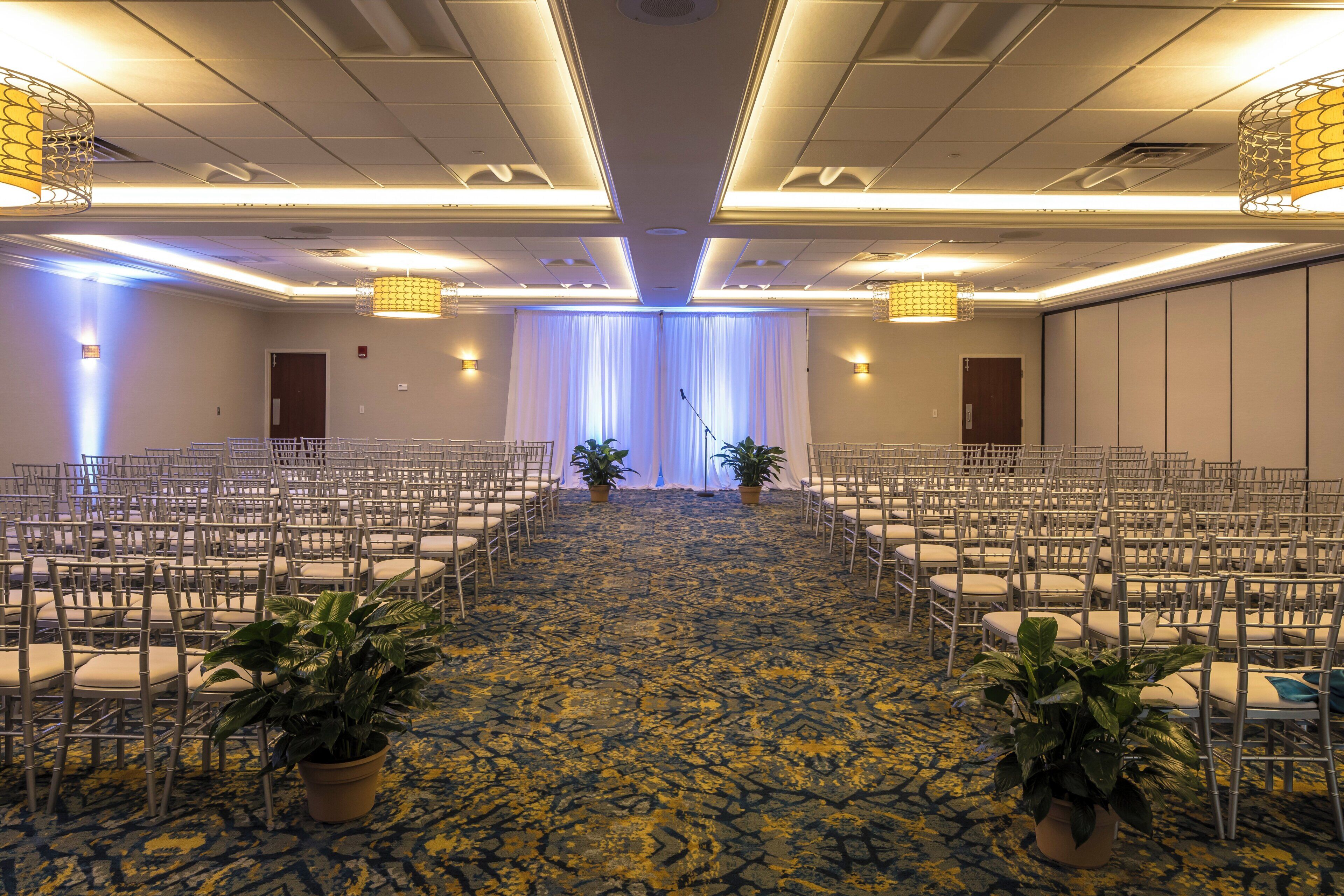 A conference room with rows of chairs, a patterned carpet, and potted plants.