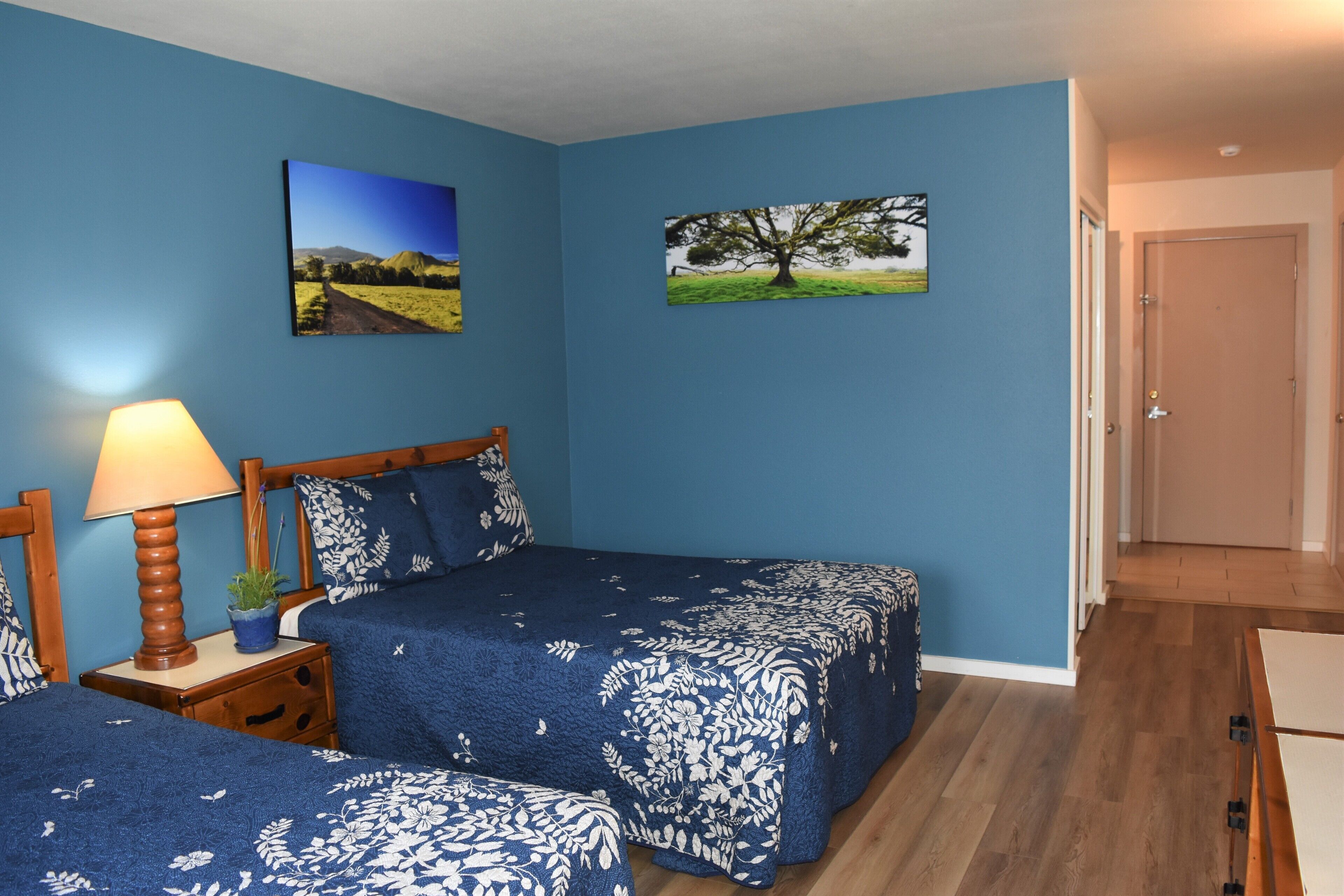 Escritorio, wifi gratis y ropa de cama 