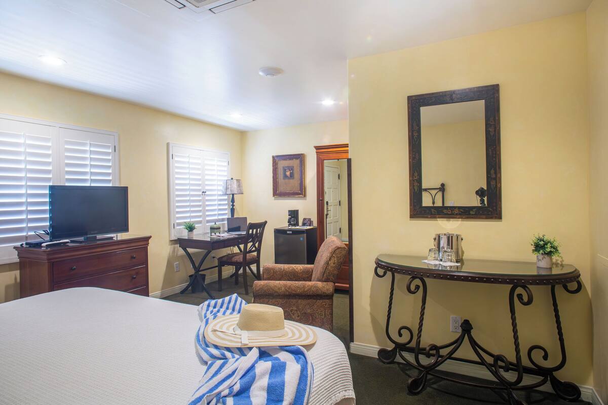 A hotel room with a bed, a desk, a chair, a television, a mirror, and a small table with a plant.