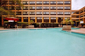 Seasonal outdoor pool, sun loungers