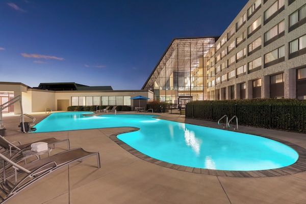 Seasonal outdoor pool, sun loungers