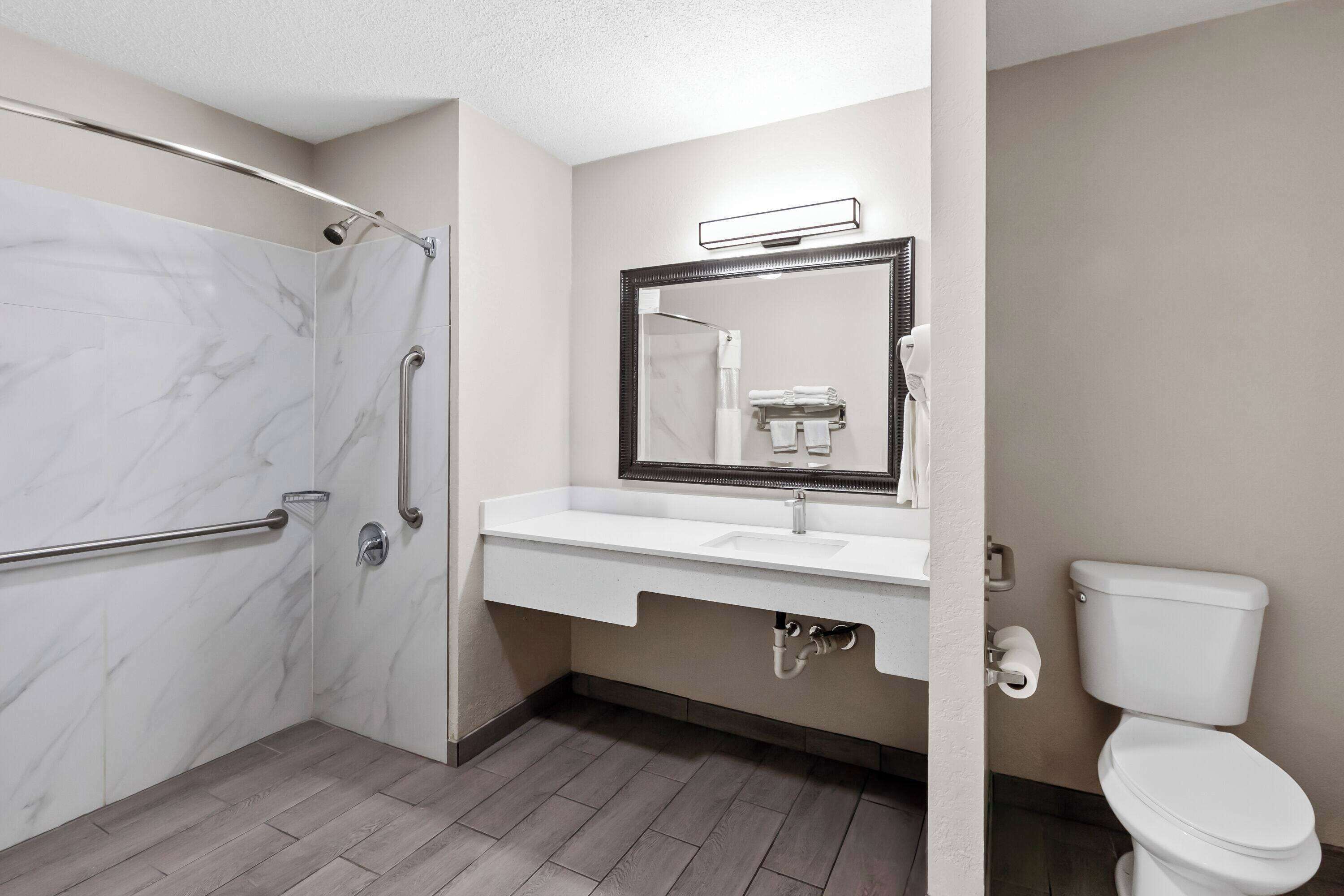 Room, 1 King Bed, Accessible, Smoking | Accessible bathroom