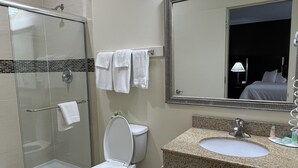 Un baño moderno con ducha de vidrio, inodoro, lavamanos con encimera de granito y un espejo grande.