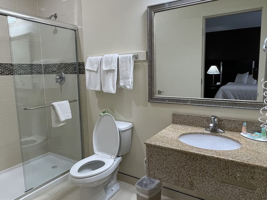 Kamar Deluks, 1 Tempat Tidur King, Bebas Asap Rokok | Kamar mandi | Kombinasi shower/bathtub dan perlengkapan mandi gratis