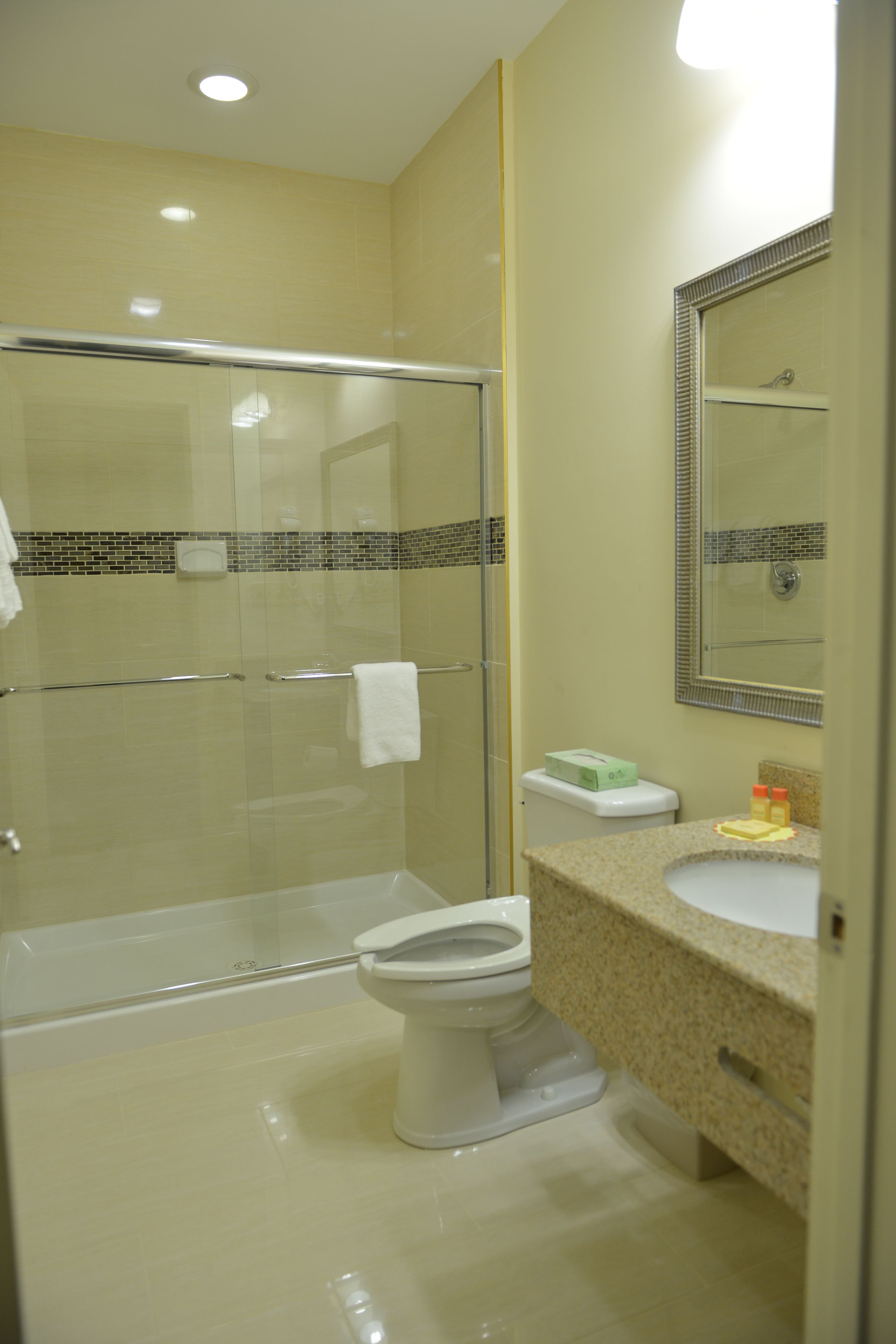 Une salle de bain avec une douche à parois de verre, des toilettes et un lavabo avec un miroir au-dessus.