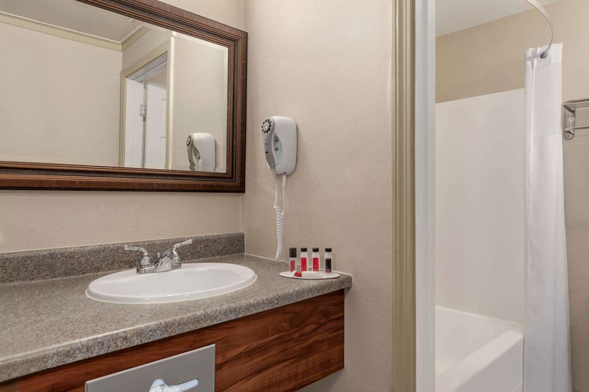 combined shower/bathtub, eco-friendly toiletries, hair dryer, towels