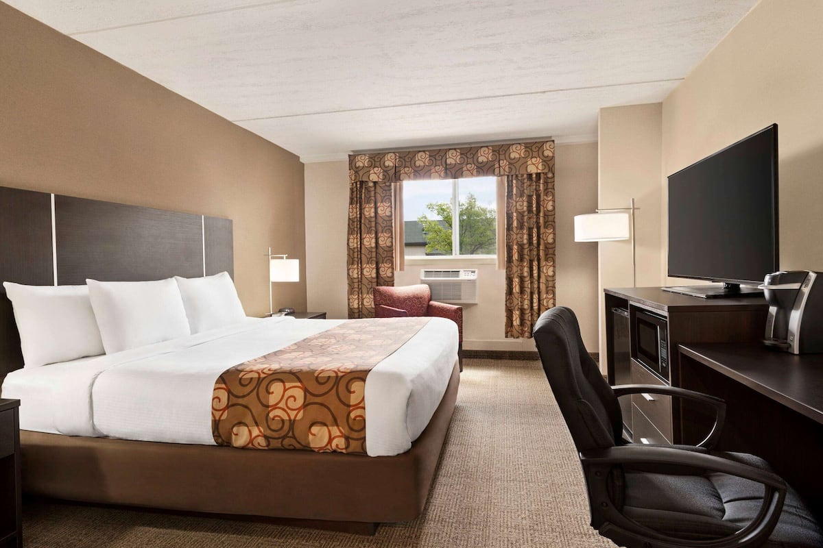 business room, 1 king bed | desk, blackout curtains, iron/ironing board, free cots/infant beds