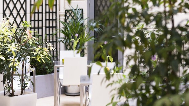Een terras met witte tafels en stoelen, omringd door plantenpotten en een houten schutting.