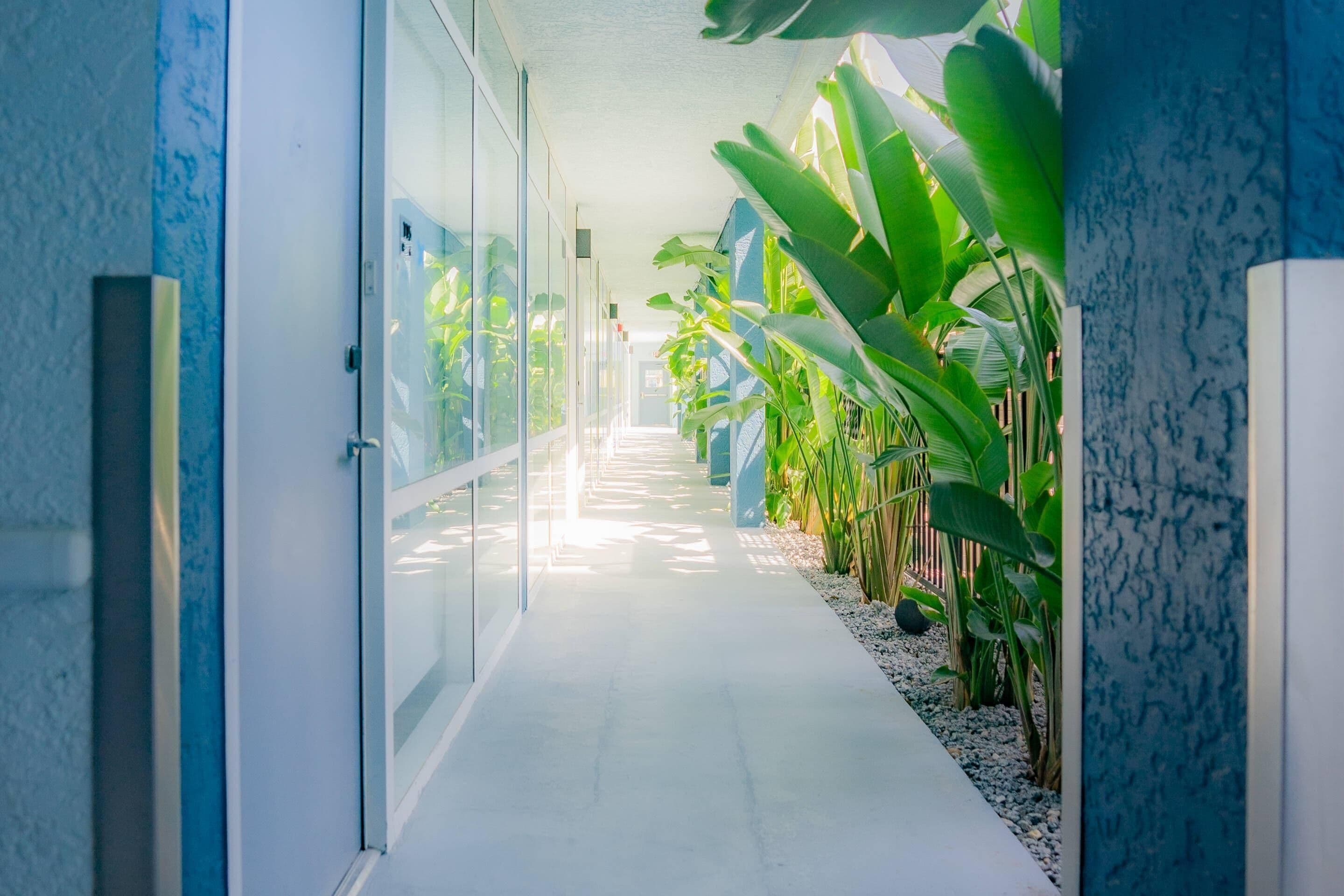 Comodidades da propriedade