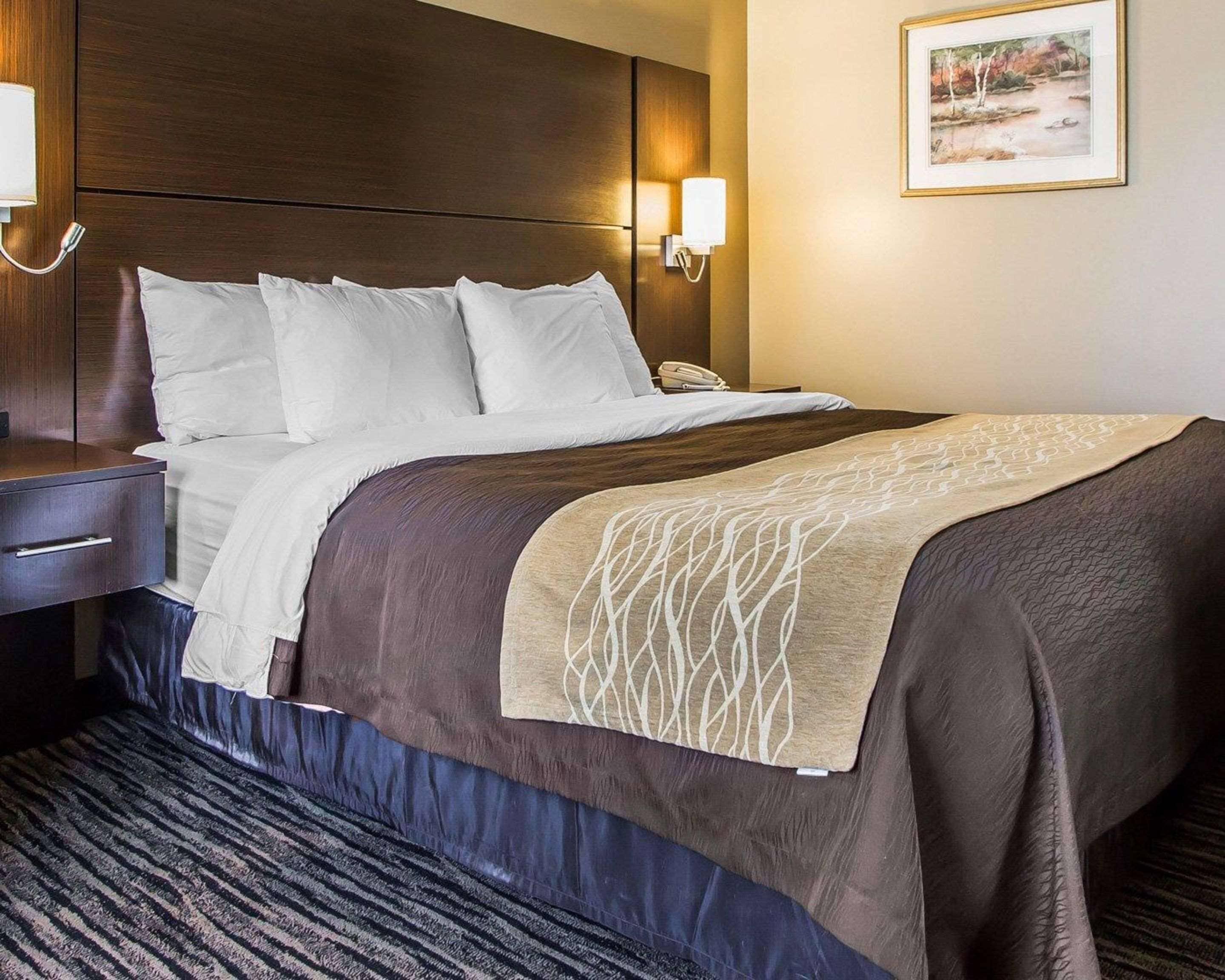 Habitación de hotel con una cama grande, una mesita de noche con lámpara, un teléfono y un cuadro en la pared.