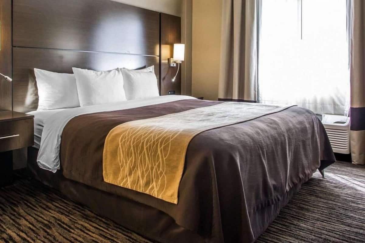 A hotel room with a large bed, a bedside table, a lamp, a window with curtains, and a carpeted floor.