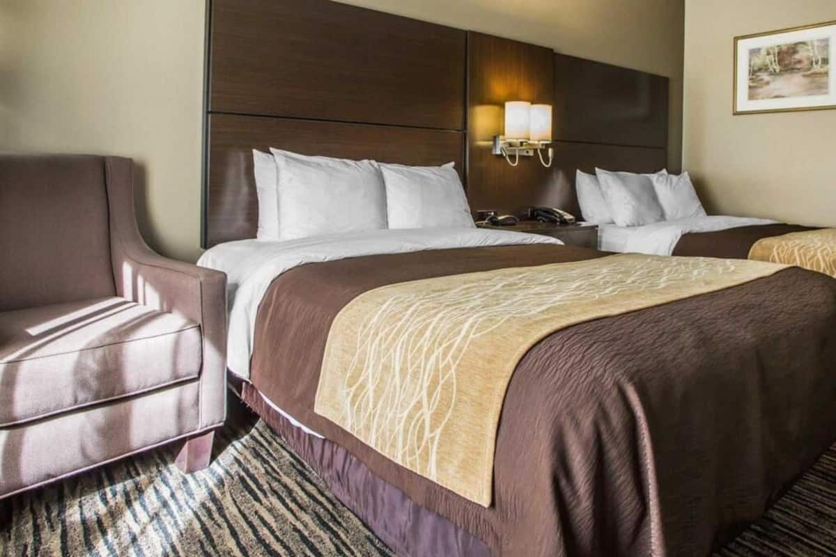 Premium bedding, iron/ironing board, free WiFi, bed sheets