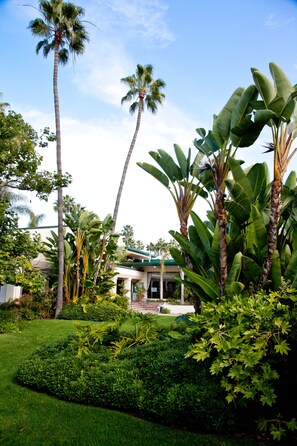 Vista desde la propiedad