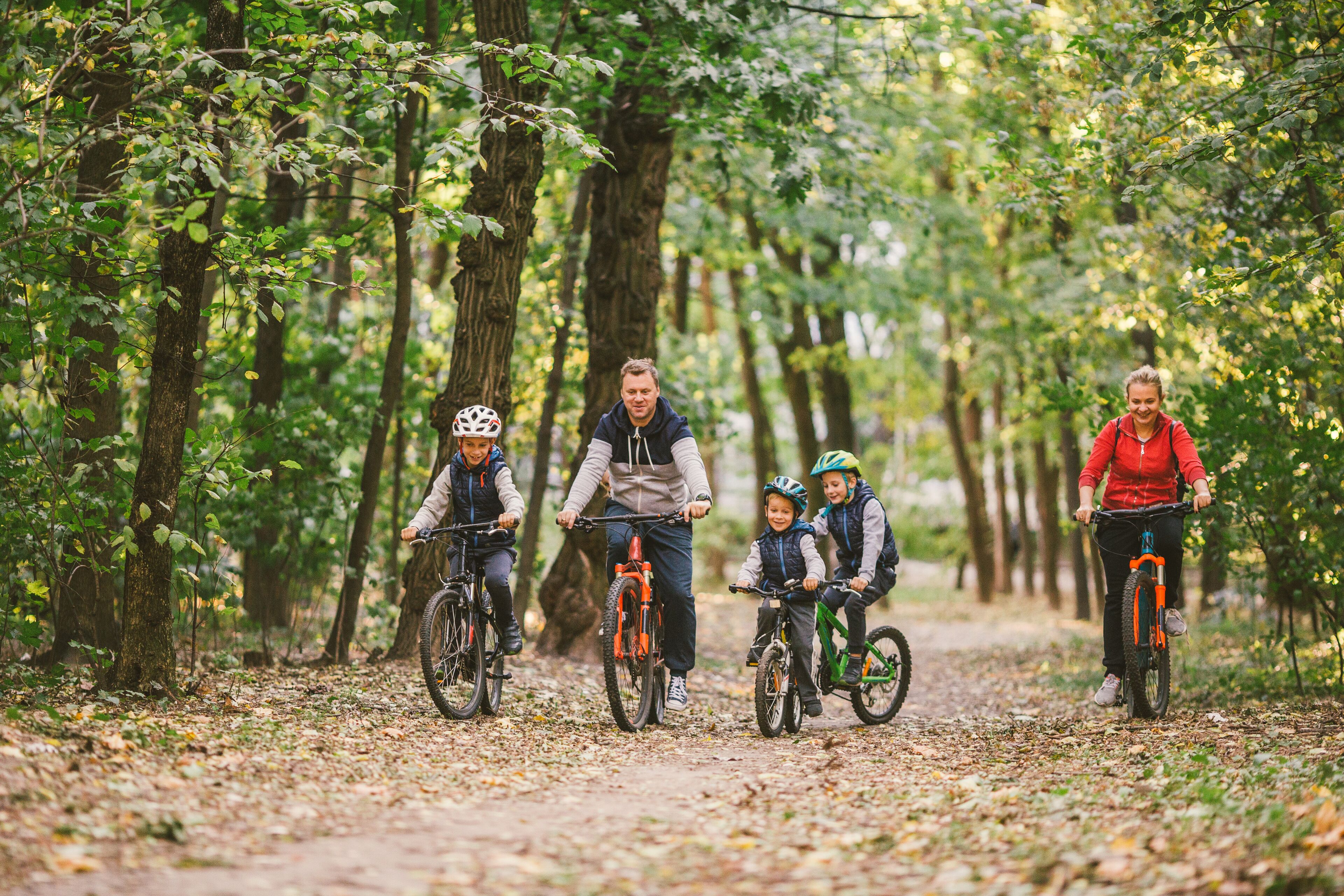 A group of people on bicycles in a forested area.
