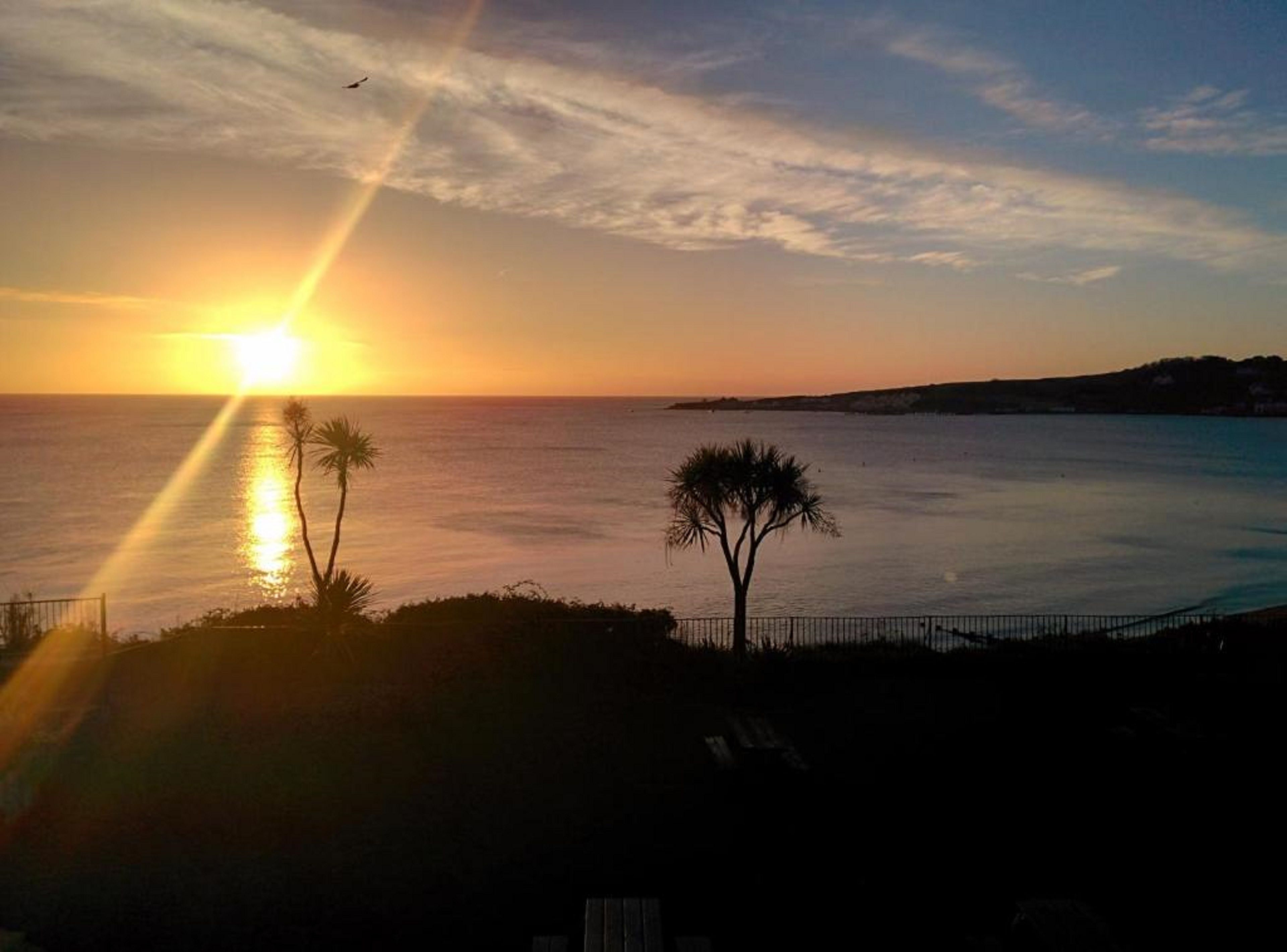 A sunset over a calm sea with palm trees and a distant shoreline.