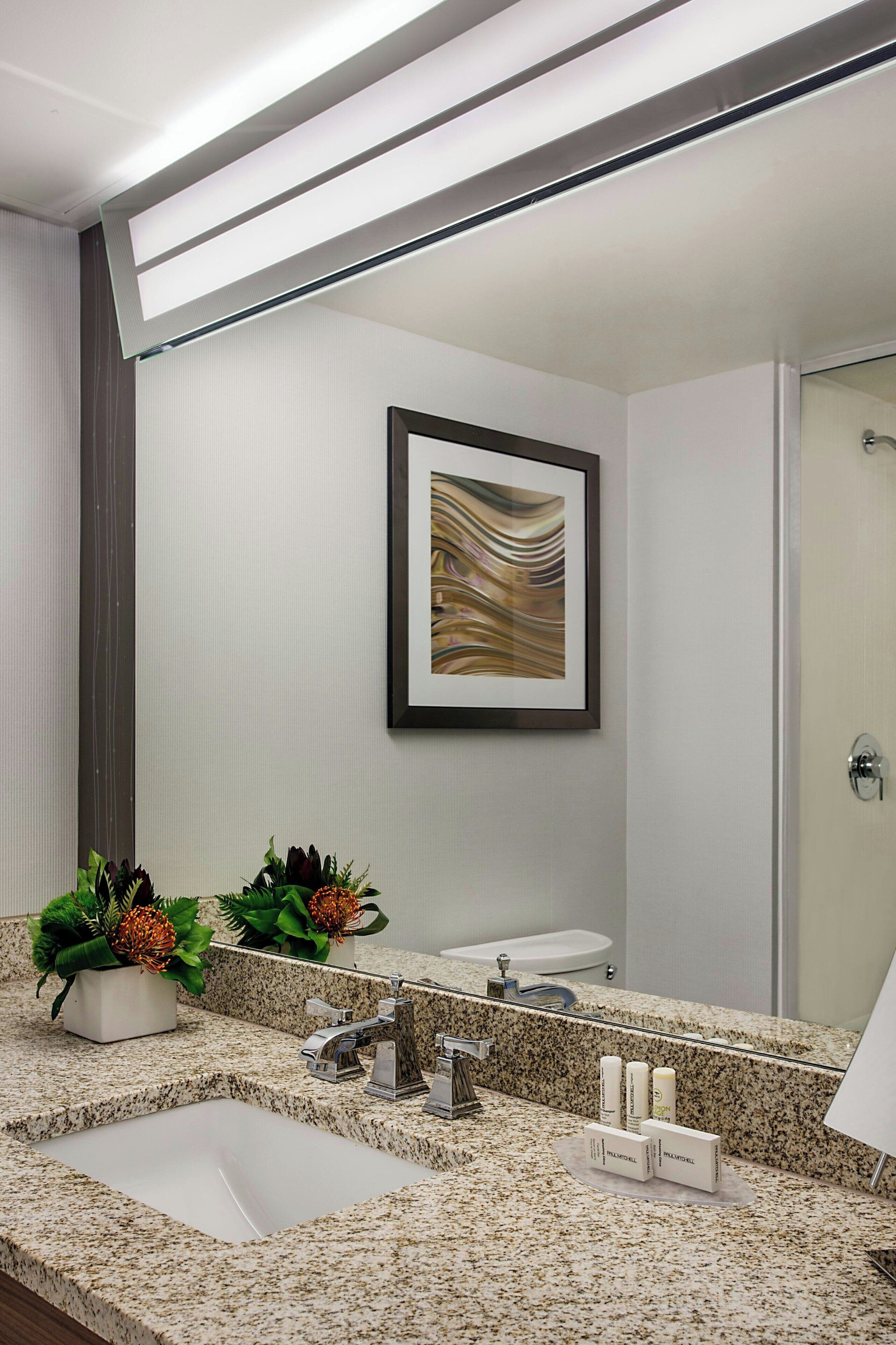 combined shower/bathtub, free toiletries, hair dryer