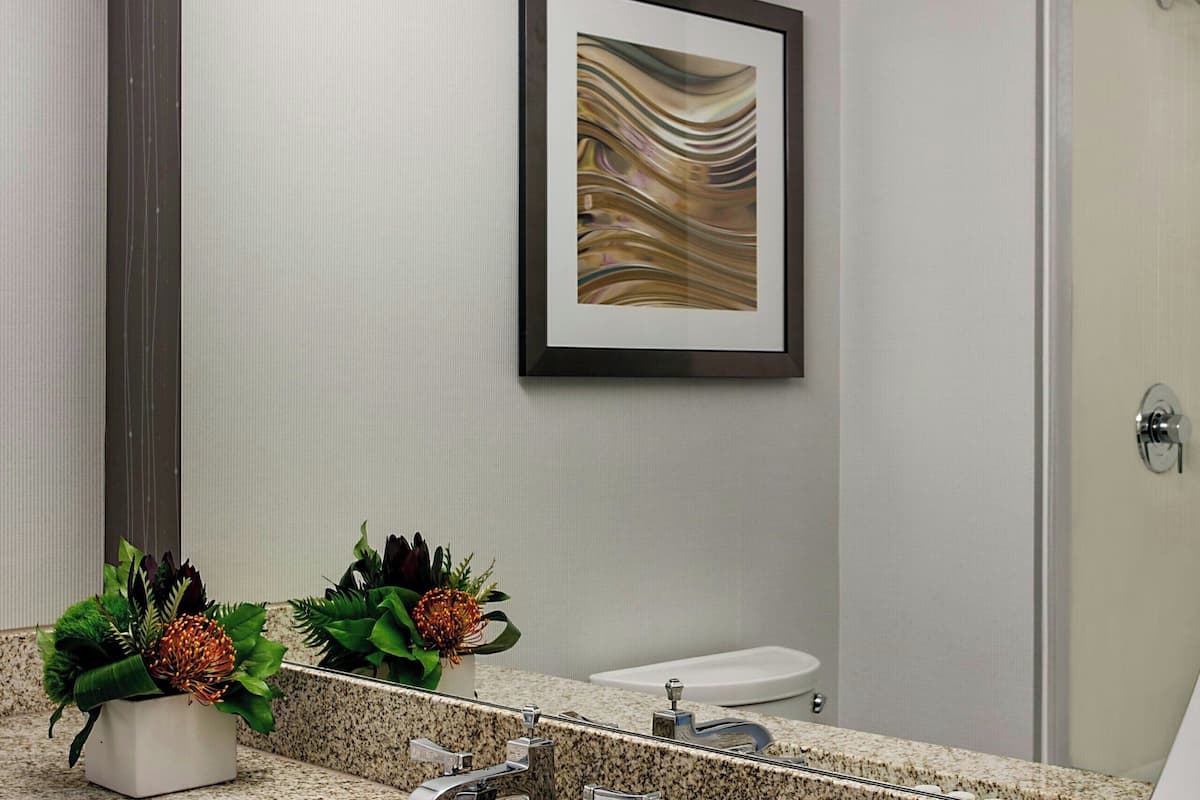 combined shower/bathtub, free toiletries, hair dryer